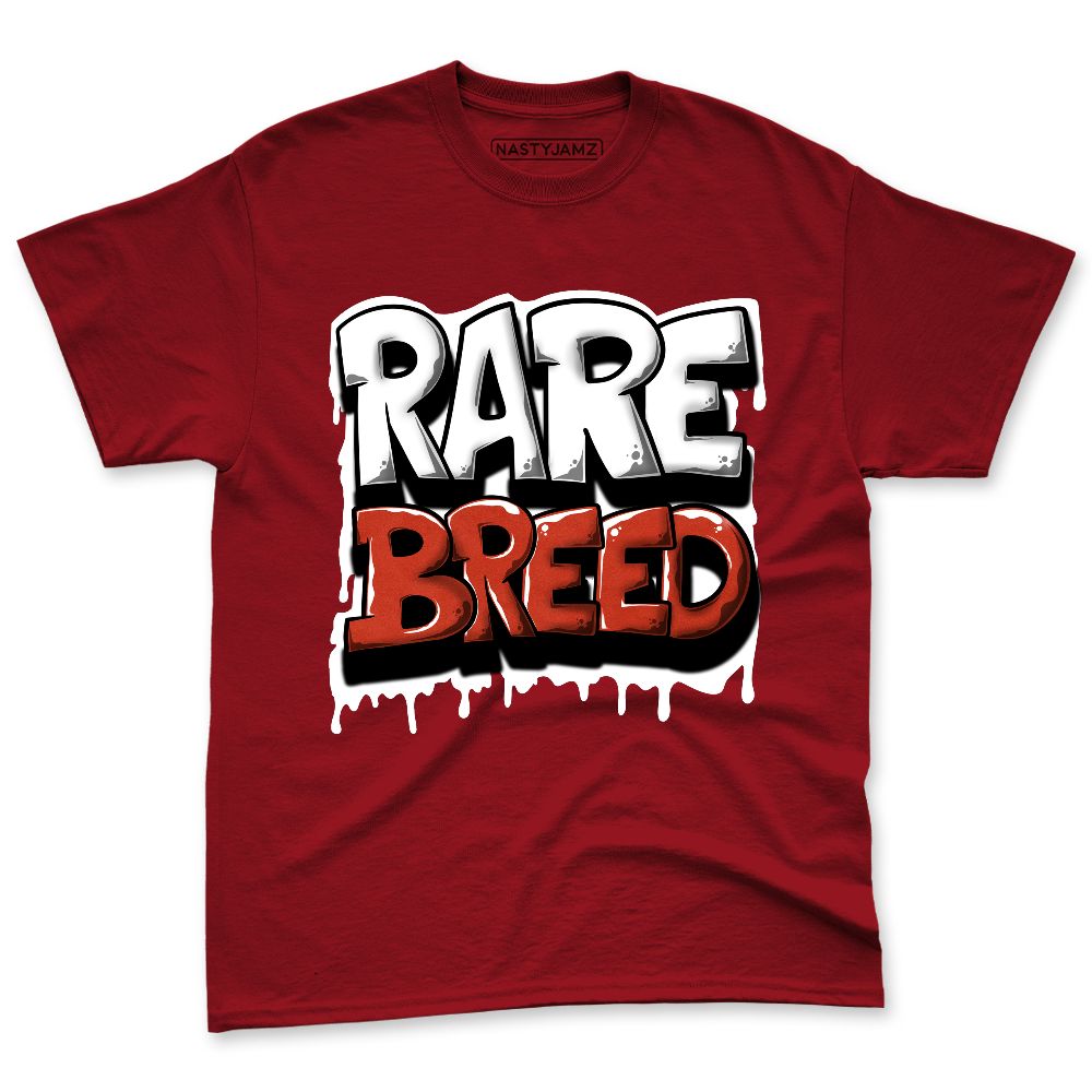 Brick-By-Brick-4s-NastyJamz-Premium-T-Shirt-Match-Rare-Breed