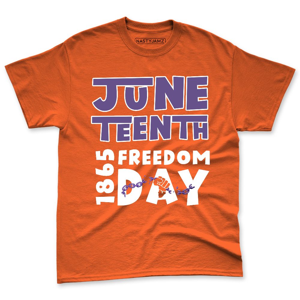 AM-CB-94-Suns-NastyJamz-Premium-T-Shirt-Match-1865-Freedom-Day