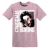 Low-Legend-Pink-11s-NastyJamz-Premium-T-Shirt-Match-Normal-Is-Boring