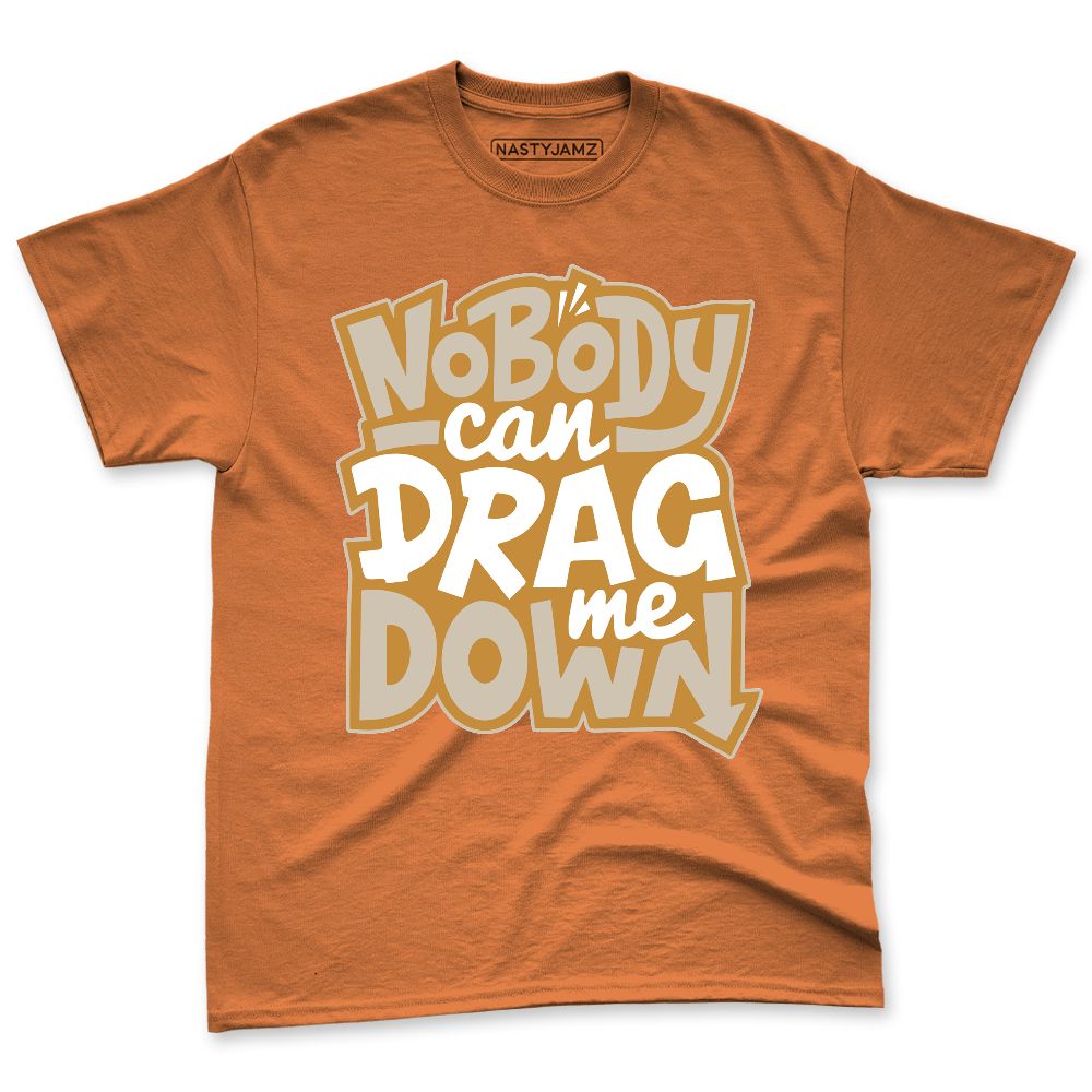 AM-1-SC-Bronze-NastyJamz-Premium-T-Shirt-Match-Cant-Drag-Me