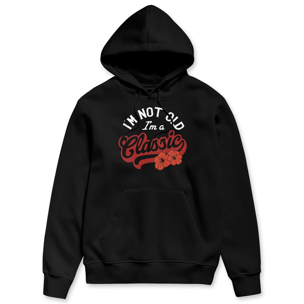 Brick-By-Brick-4s-NastyJamz-Hoodie-Match-Im-Classic