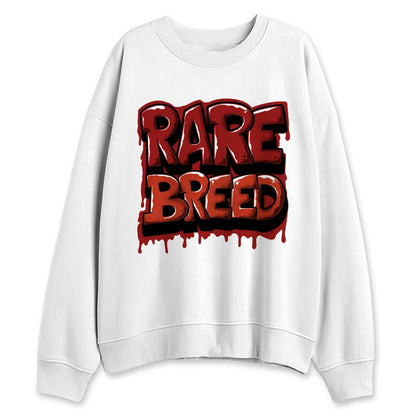 Brick-By-Brick-4s-NastyJamz-Sweatshirt-Match-Rare-Breed