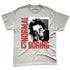Rare-Air-Cinnabar-1s-NastyJamz-Premium-T-Shirt-Match-Normal-Is-Boring