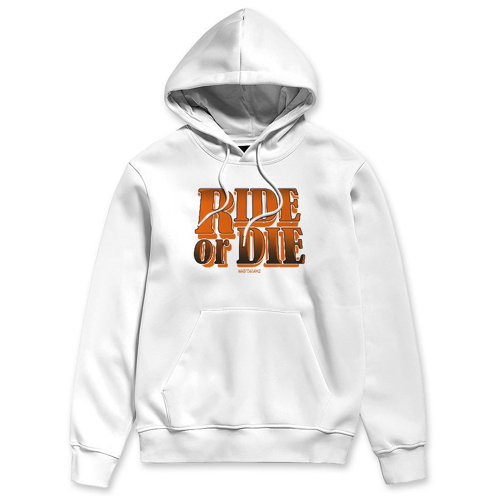 Shattered-Backboard-1s-NastyJamz-Hoodie-Match-Ride-Or-Die-Minimal