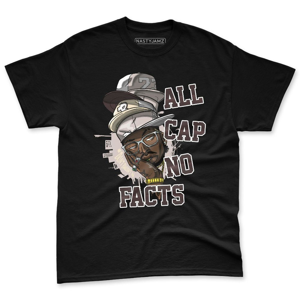 While-You-Were-Sleeping-4s-NastyJamz-Premium-T-Shirt-Match-All-Cap-No-Facts